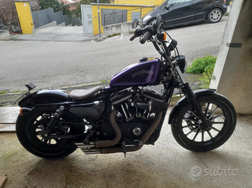 Harley-Davidson Iron 883 (2010) Custom + Accessori