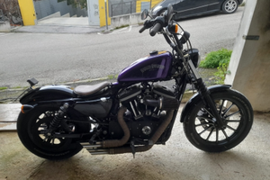 Harley-Davidson Iron 883 (2010) Custom + Accessori