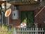 Immagine 5
