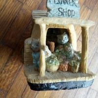 Gioco Flower Shop apribile 