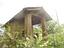 Immagine 26