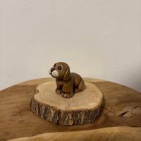 Cane seconda scelta, mancanze di colore, Thun