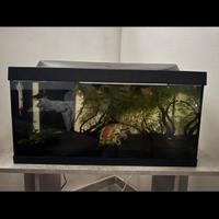 Acquario tetra 60 litri