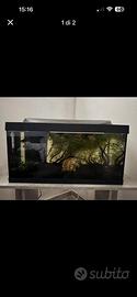 Acquario tetra 60 litri