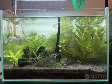 Acquario aqpet aqua 45