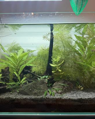 Acquario aqpet aqua 45