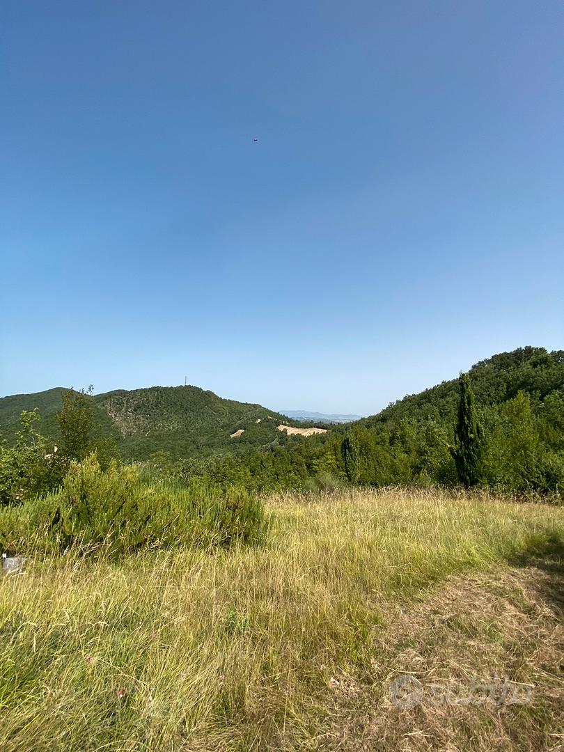 Urbino Zona Tufo 40 ettari di terra - Vista 3