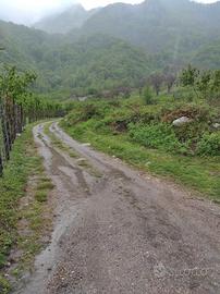 Terreno Giffoni 3 ettari dopo santuario