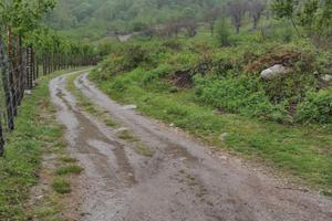 Terreno Giffoni 3 ettari dopo santuario