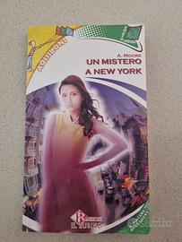 Un mistero a new york