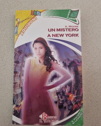 Un mistero a new york