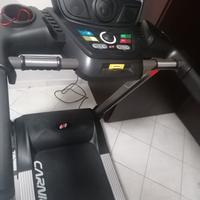 TAPIRULAND CANELLI HP PRO