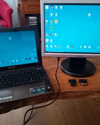 Monitor 19 pollici LCD a colori