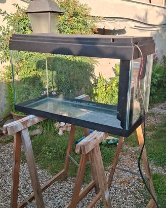 Acquario