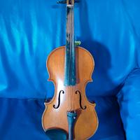 violino