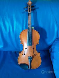 violino
