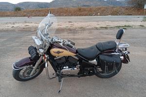 VN 800