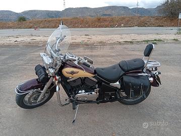 VN 800