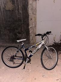 Bicicletta donna