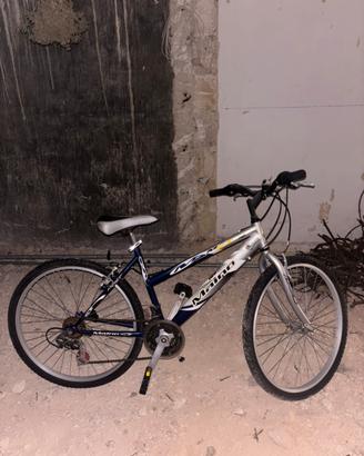 Bicicletta donna