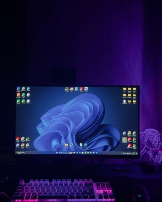Monitor Gaming MSI MAG 255F E20-200Hz-Garanzia