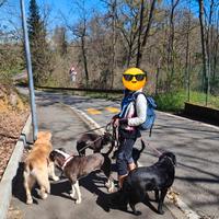 Assistenza anziani baby Sitter e dog Sitter