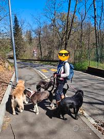 Assistenza anziani baby Sitter e dog Sitter