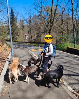 Assistenza anziani baby Sitter e dog Sitter