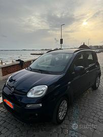 FIAT Panda 3ª serie - 2021