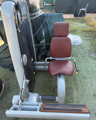 Sitting Calf Technogym linea Selection