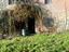 Immagine 4