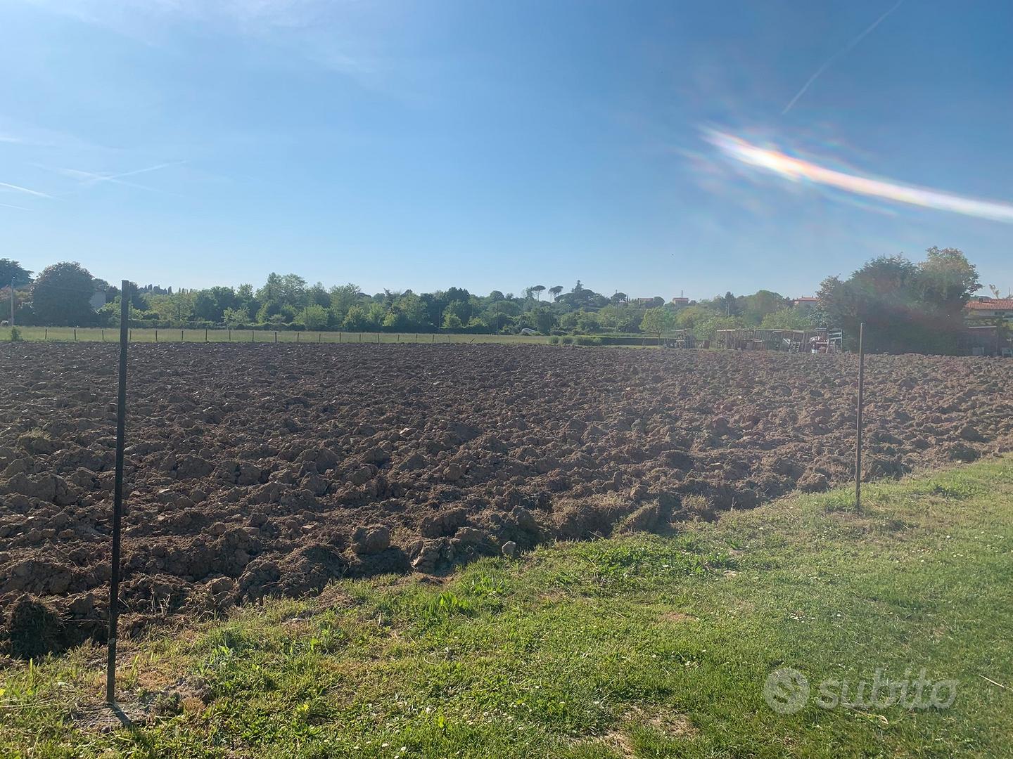 Terreno agricolo - Vista 5