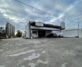 Capannone agricolo a Belvedere Ostrense