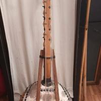 N'goni (strumento a corde africano)