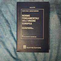 Norme fondamentali dell'Unione europea