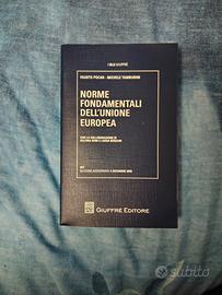 Norme fondamentali dell'Unione europea