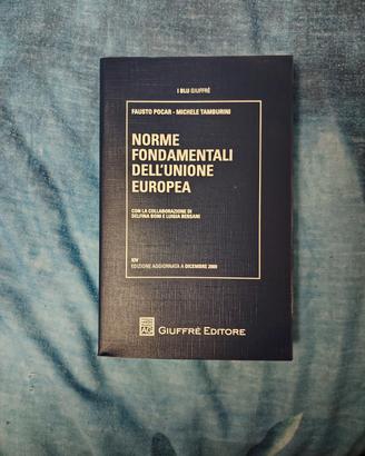 Norme fondamentali dell'Unione europea