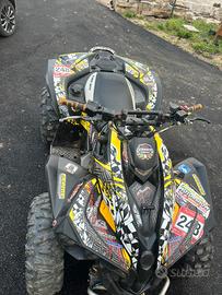 Can am renegade 800xr