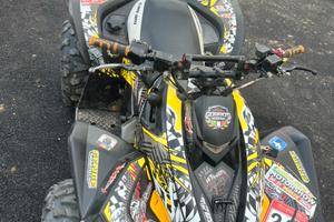 Can am renegade 800xr