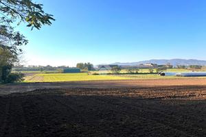 TER. RESIDENZIALE A CAMBIANO