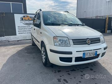 Fiat Panda, autocarro