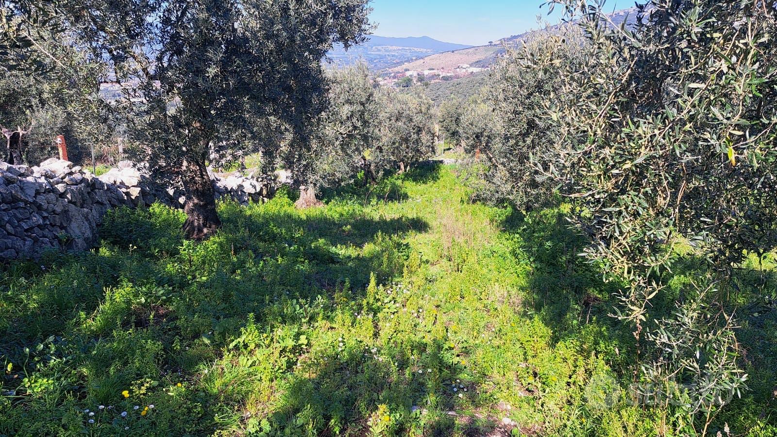 Terreno agricolo - Vista 3
