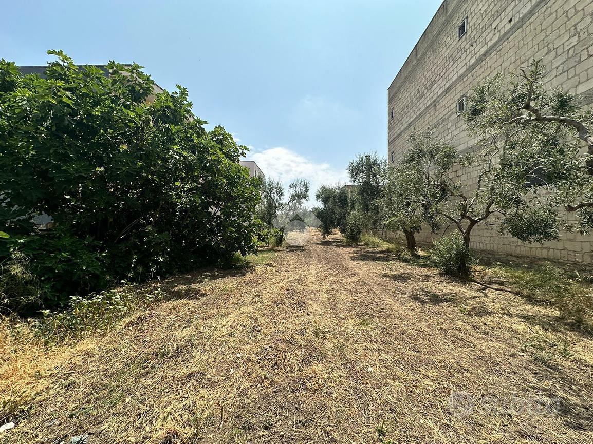 TERRENO A CERIGNOLA - Vista 3
