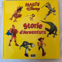 Libro Wall Disney copertina rigida