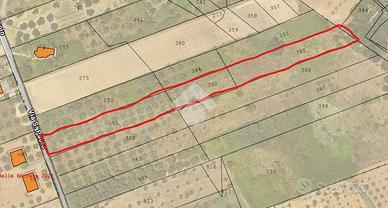 TER. AGRICOLO A MENTANA