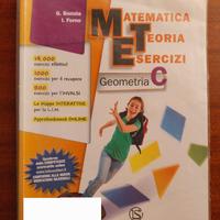 Matematica Teoria Esercizi Geometria C