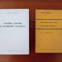 Algebra lineare e Geometria analitica + Esercizi