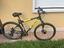 Immagine 5