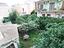 Immagine 27
