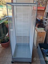 voliera per uccelli 2024